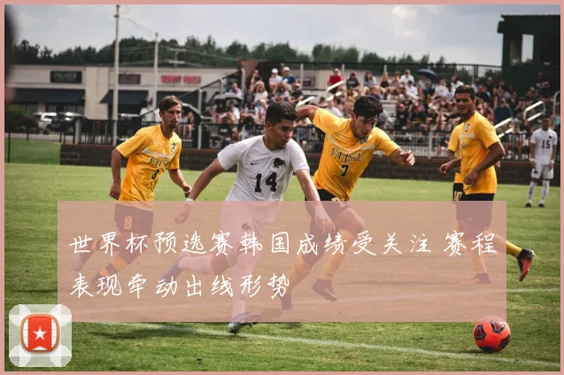 世界杯预选赛韩国成绩受关注 赛程表现牵动出线形势