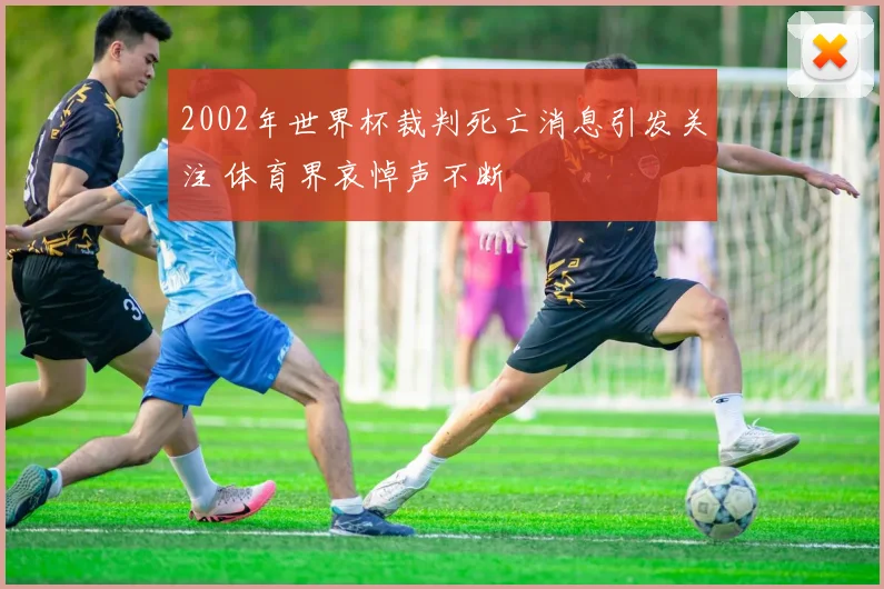 2002年世界杯裁判死亡消息引发关注 体育界哀悼声不断